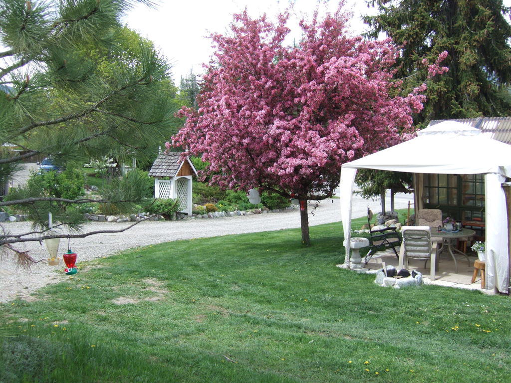 Motel North Star 2*